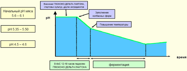 ГЛЮКОНО-ДЕЛЬТА-ЛАКТОН В ПРОИЗВОДСТВЕ КОПЧЕНЫХ/СЫРОКОПЧЕНЫХ МЯСНЫХ ПРОДУКТОВ