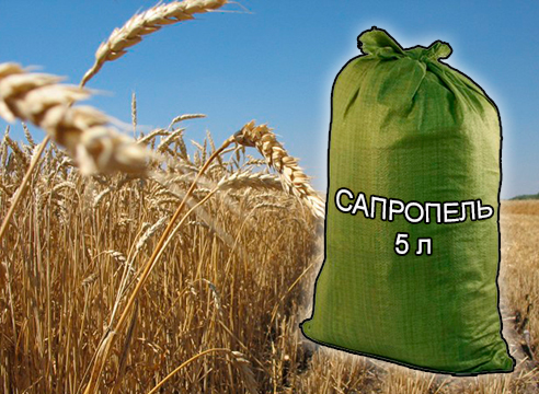 Почвогрунты, грунты и удобрения для растениеводства и садоводства от компании ЗАО Респект - Сапропель натуральный 5 л Почвогрунты, грунты и удобрения для растениеводства и садоводства от компании ЗАО Респект - Сапропель натуральный 5 л