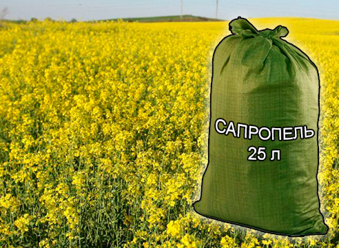 Почвогрунты, грунты и удобрения для растениеводства и садоводства от компании ЗАО Респект - Сапропель натуральный 25 л Почвогрунты, грунты и удобрения для растениеводства и садоводства от компании ЗАО Респект - Сапропель натуральный 25 л