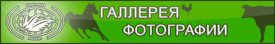 Галлерея, фотографии ЗАО Респект, Сапросорб и пищевые ингредиенты, Реннесанс г. Элиста, животноводство, кормовые добавки для животных