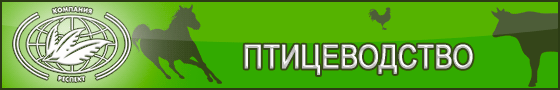 Применение Сапросорб / Saprosorb в птицеводстве
