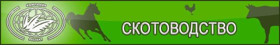 Применение Сапросорб / Saprosorb в скотоводстве