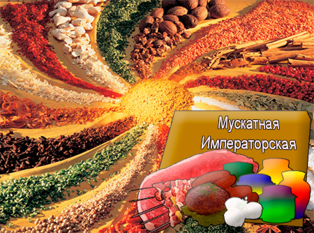 Смеси специй для мясной промышленности от компании Респект - Мускатная Императорская для полуфабрикатов, Смеси натуральных специй, их масел и экстрактов: черного и красного перца, кориандра, горчицы, мускатного ореха; декстроза, усилители вкуса (Е-621; Е-627; Е-631) Смеси специй для мясной промышленности от компании Респект - Мускатная Императорская для полуфабрикатов, Смеси натуральных специй, их масел и экстрактов: черного и красного перца, кориандра, горчицы, мускатного ореха; декстроза, усилители вкуса (Е-621; Е-627; Е-631)