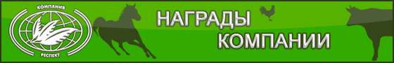 Награды компании Респект и наших представительств