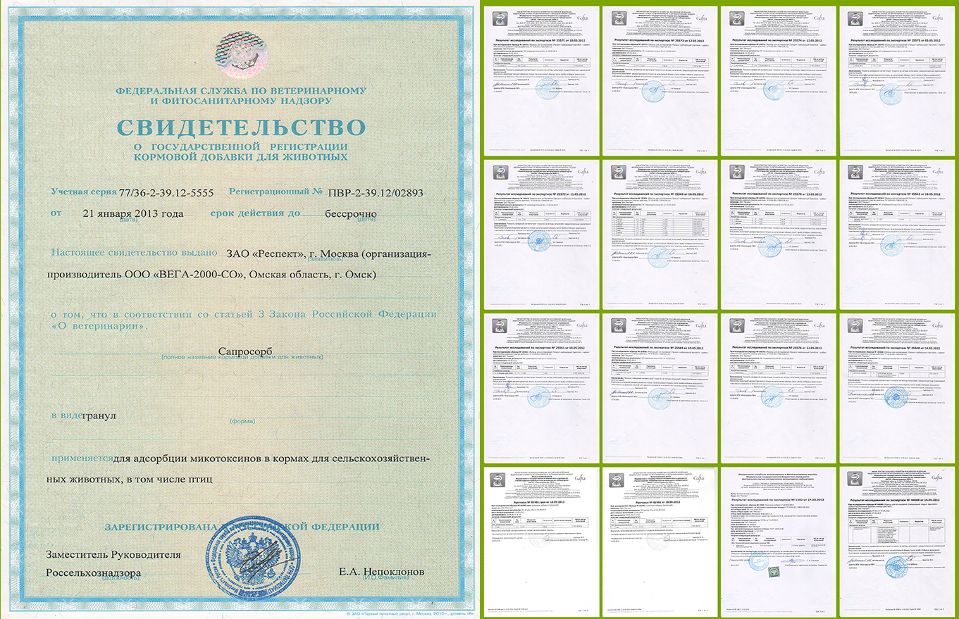 фирменная папка 2015 ЗАО РЕСПЕКТ, Кормовые добавки, Пищевые Ингредиенты, Сапросорб, животноводство фирменная папка 2015 ЗАО РЕСПЕКТ, Кормовые добавки, Пищевые Ингредиенты, Сапросорб, животноводство